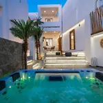 Apartment Mykonos Double Luxury Collection-with External Hot Adults Only